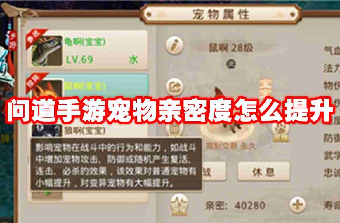 问道手游宠物亲密度怎么提升