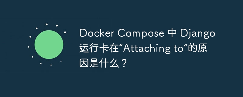 docker compose 中 django 运行卡在“attaching to”的原因是什么？