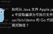 如何从 Java 文件 Apple.java 中获取编译为可执行文件 /usr/bin/demo 的 Go 代码的绝对路径？