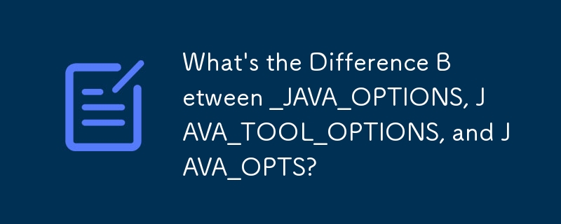 Was ist der Unterschied zwischen _JAVA_OPTIONS, JAVA_TOOL_OPTIONS und JAVA_OPTS?