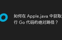 如何在 Apple.java 中获取运行 Go 代码的绝对路径？