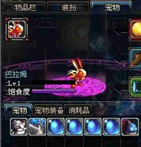 《地下城与勇士：起源》宠物巴拉姆介绍