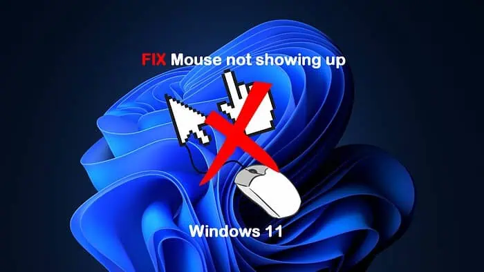 Mouse Not Showing Up Windows 11 [8 Quick Solutions]