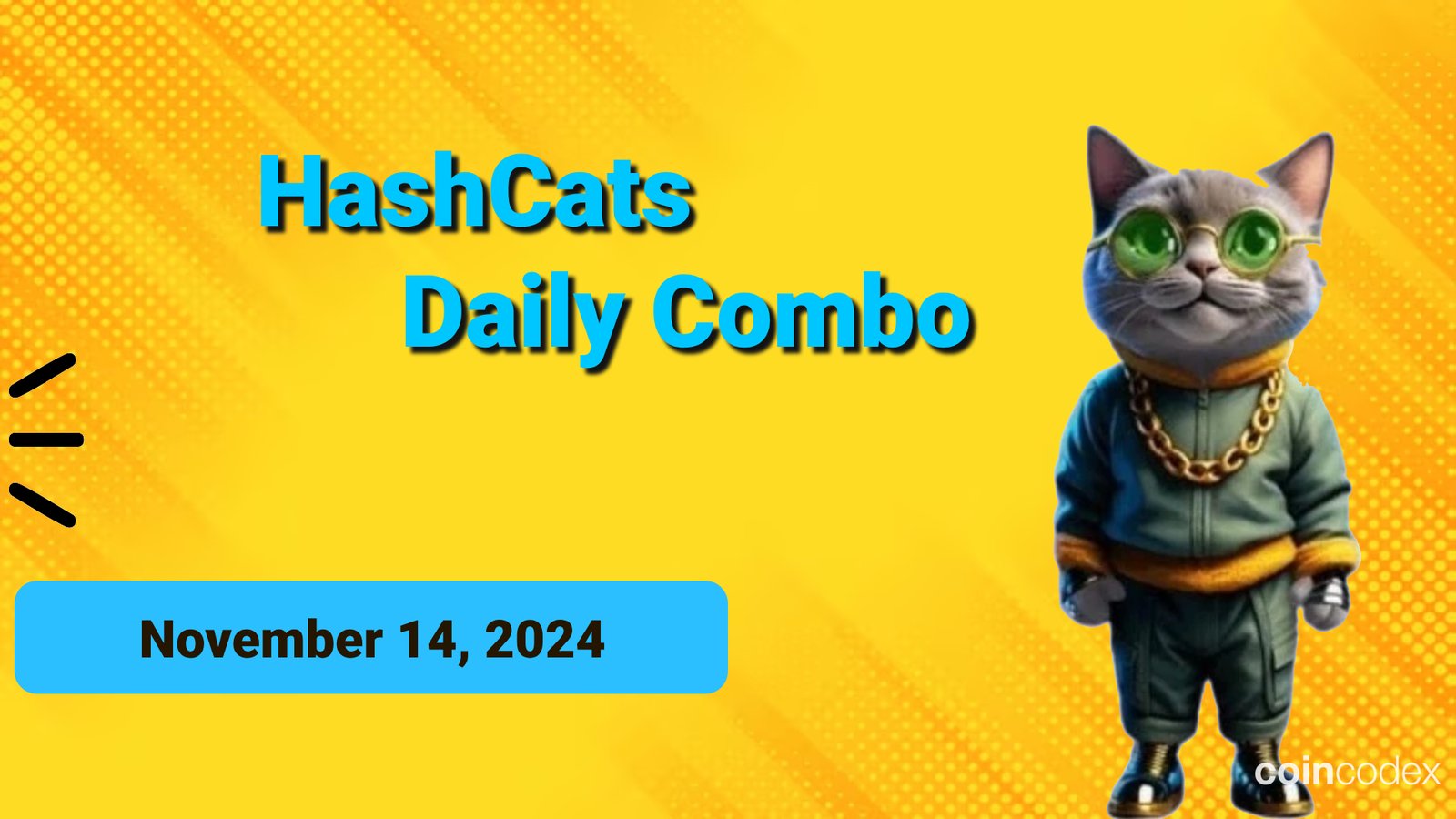 HashCats Daily Combo for November 14, 2024