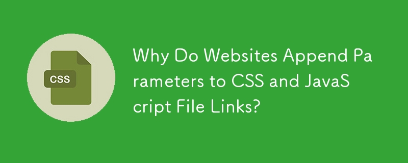 為什麼網站要附加參數到 CSS 和 JavaScript 文件連結？