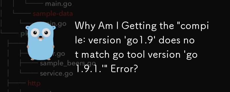 为什么我收到'compile: version 'go1.9' does not match go tool version 'go1.9.1.'”错误？