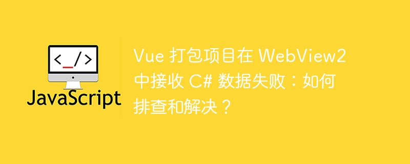 vue 打包项目在 webview2 中接收 c# 数据失败:如何排查和解决?