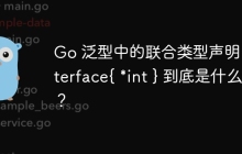 Go 泛型中的联合类型声明：interface{ *int } 到底是什么？