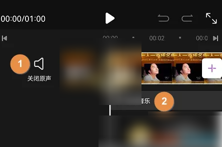 花瓣剪辑如何去掉声音