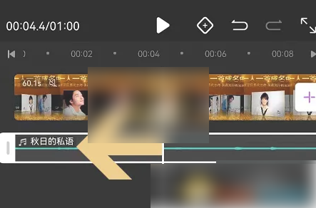 花瓣剪辑如何去掉声音