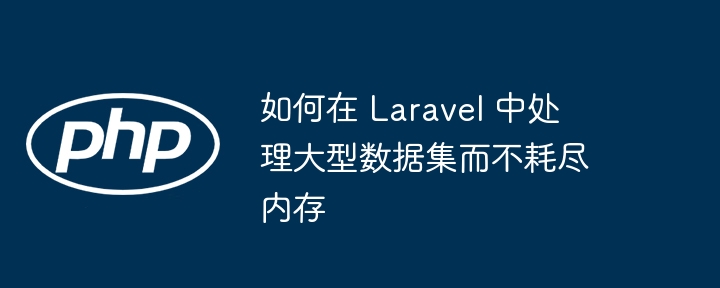 如何在 Laravel 中处理大型数据集而不耗尽内存 - 小浪资源网