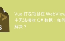 Vue 打包项目在 WebView2 中无法接收 C# 数据：如何解决？