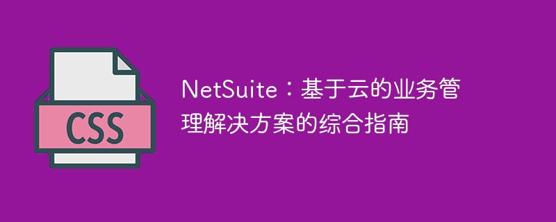 NetSuite：基于云的业务管理解决方案的综合指南 - 小浪资源网