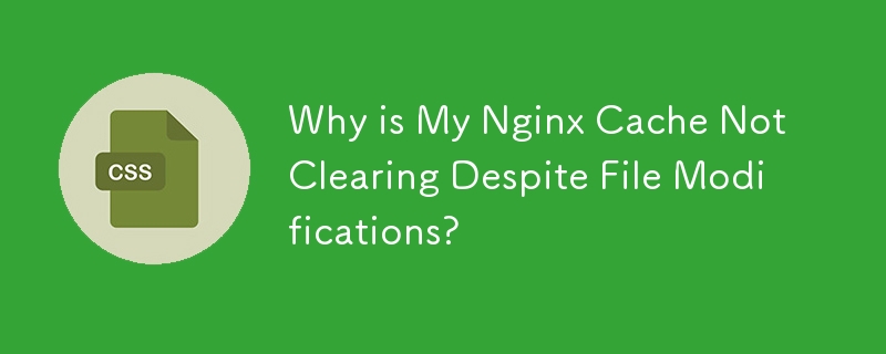 為什麼我的 Nginx 快取在檔案修改後仍未清除？