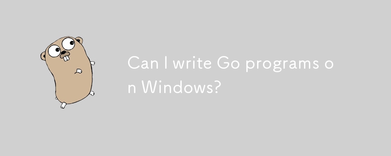 我可以在 Windows 上編寫 Go 程式嗎？