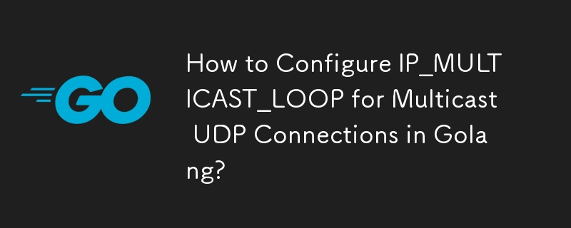 How to Configure IP_MULTICAST_LOOP for Multicast UDP Connections in Golang?