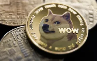 Crypto Bitlord:在不断变化的加密货币世界中掌握影响力艺术的人