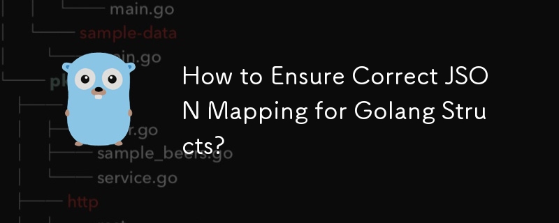 Comment garantir un mappage JSON correct pour les structures Golang ?