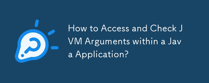 How to Access and Check JVM Arguments within a Java Application?