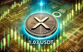 Ripple's XRP Eyes $1.03 Amid Optimism, Can It Get There?