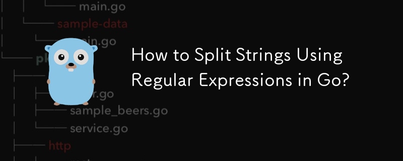 How to Split Strings Using Regular Expressions in Go?