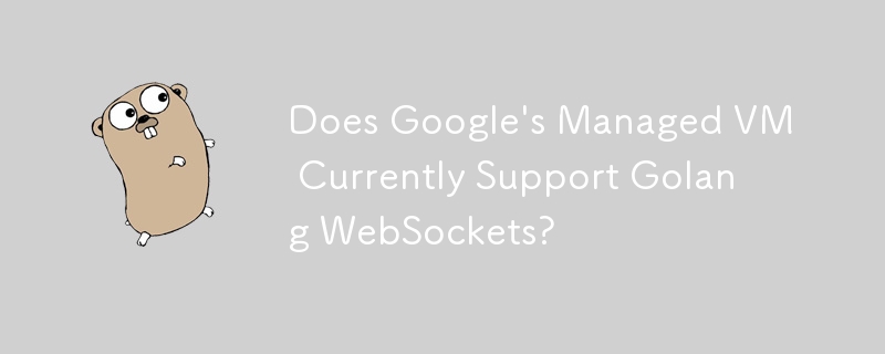 Google 的託管 VM 目前支援 Golang WebSockets 嗎？