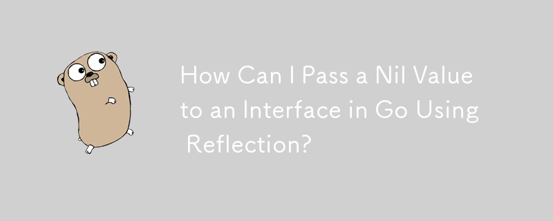 How Can I Pass a Nil Value to an Interface in Go Using Reflection?