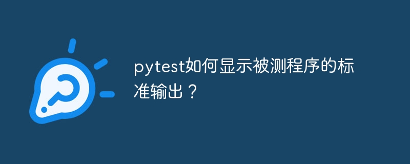 pytest如何显示被测程序的标准输出？ - 小浪资源网