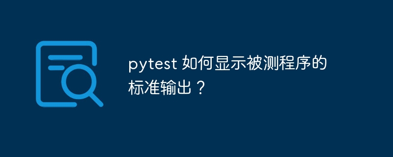 pytest 如何显示被测程序的标准输出？ - 小浪资源网