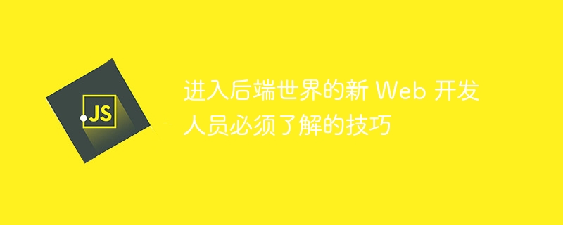 进入后端世界的新 Web 开发人员必须了解的技巧 - 小浪资源网