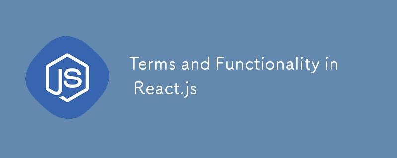 React.js 中的术语和功能