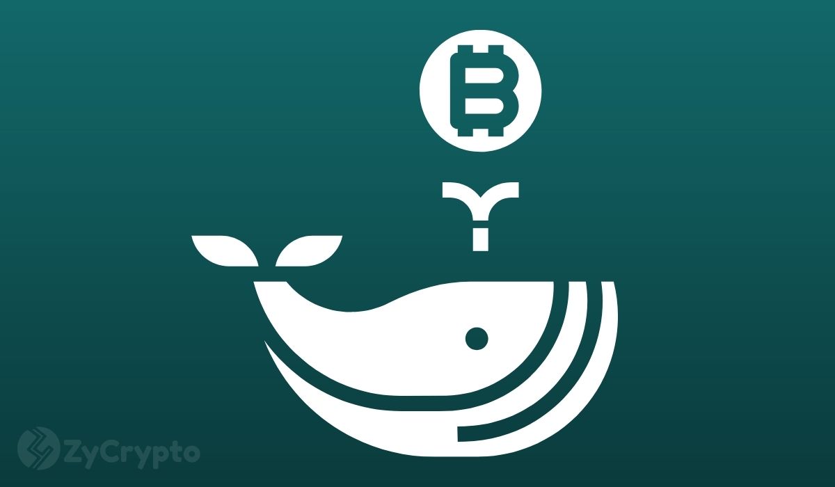 Binance Dominates Whale Transactions as Bitcoin Bulls Rally the Market