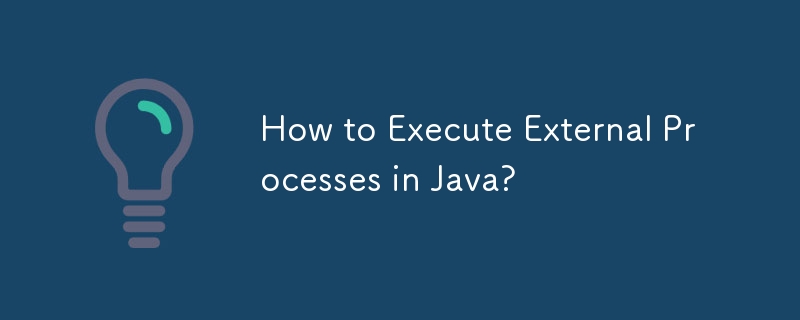 Javaで外部プロセスを実行するにはどうすればよいですか?