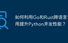 如何利用Go和Rust跨语言调用提升Python并发性能？