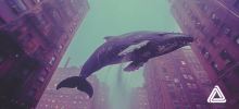 Crypto Whales Ramp Up DOGE and ETFS Holdings as They Anticipate Major Price Jumps