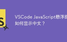 VSCode JavaScript悬浮提示如何显示中文？