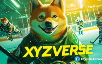 XYZVerse : Là où les pièces de sport et les pièces mèmes entrent en collision