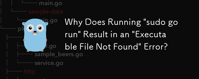 「sudo go run」を実行すると「実行可能ファイルが見つかりません」エラーが発生するのはなぜですか?