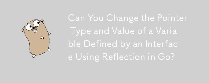 Go のリフレクションを使用して、インターフェイスによって定義された変数のポインタ型と値を変更できますか?