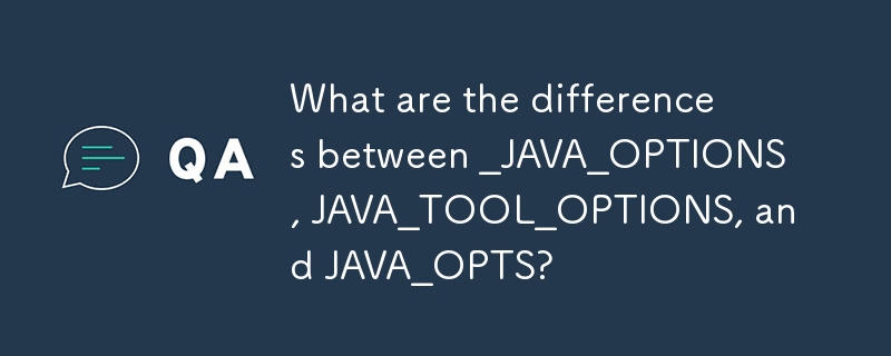 _JAVA_OPTIONS、JAVA_TOOL_OPTIONS 和 JAVA_OPTS 之間有什麼區別？