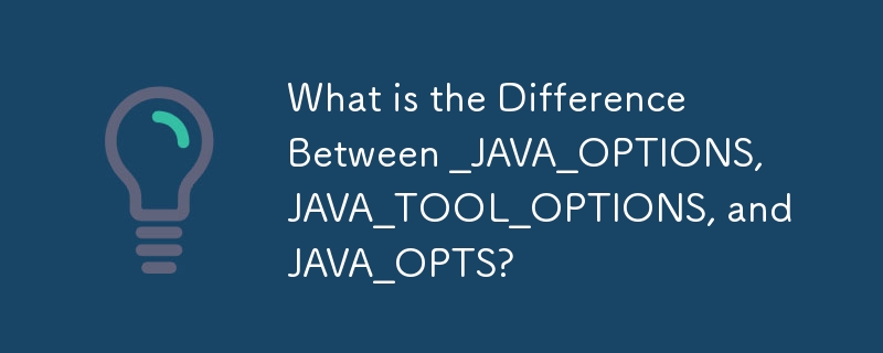 _JAVA_OPTIONS、JAVA_TOOL_OPTIONS 和 JAVA_OPTS 之間有什麼區別？