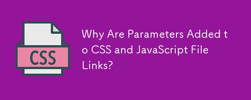 Pourquoi des paramètres sont-ils ajoutés aux liens de fichiers CSS et JavaScript ?