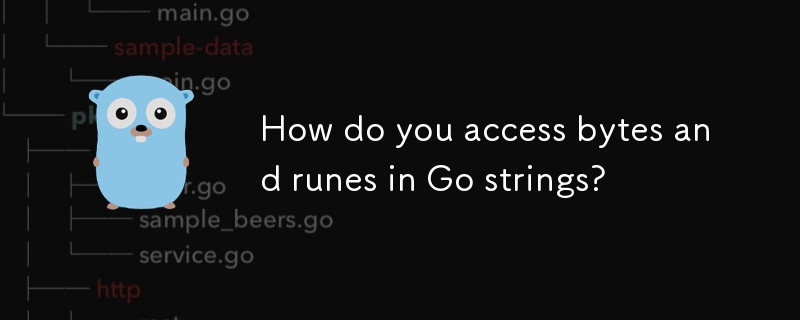 Go 文字列のバイトやルーン文字にどのようにアクセスしますか?