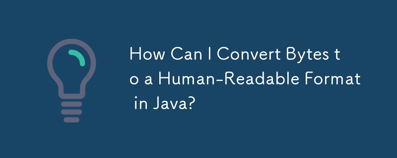 Java でバイトを人間が読める形式に変換するにはどうすればよいですか?