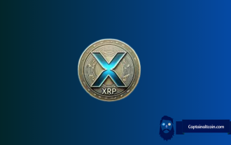 Phase de consolidation des prix XRP et niveaux de prix