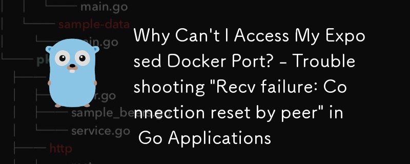Mengapa Saya Tidak Boleh Mengakses Port Docker Terdedah Saya? - Menyelesaikan masalah 'Recv kegagalan: Tetapan semula sambungan oleh rakan sebaya' dalam Aplikasi Go