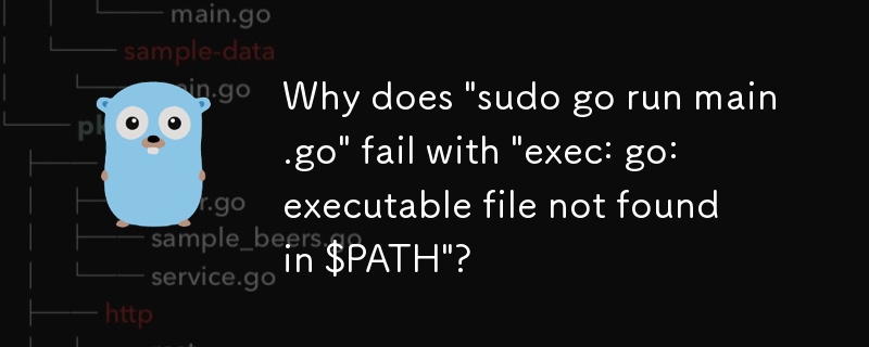 为什么'sudo go run main.go”会失败并显示'exec：go：在$ PATH中找不到可执行文件”？