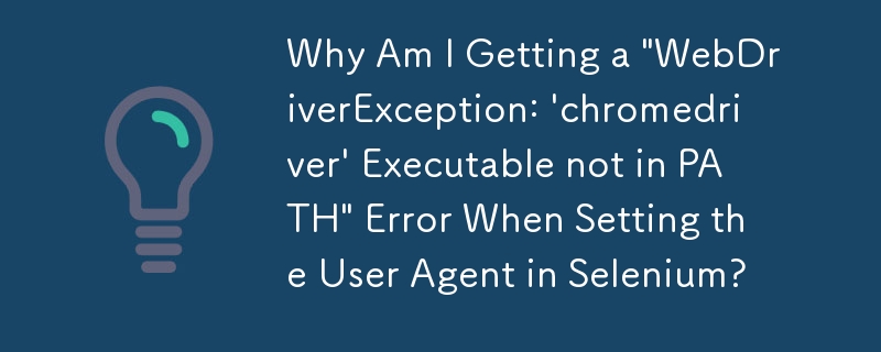 Selenium でユーザー エージェントを設定すると、「WebDriverException: \'chromedriver\' Executable not in PATH」エラーが発生するのはなぜですか?