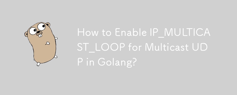 如何在 Golang 中为组播 UDP 启用 IP_MULTICAST_LOOP？