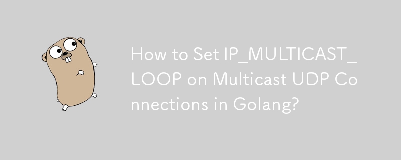 How to Set IP_MULTICAST_LOOP on Multicast UDP Connections in Golang?